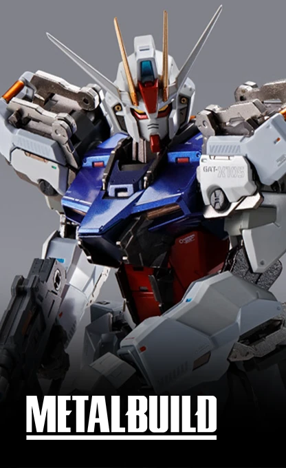 METAL BUILD