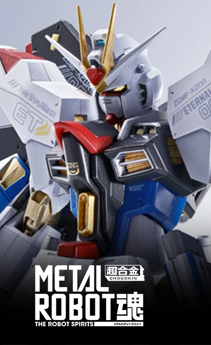 METAL ROBOT魂