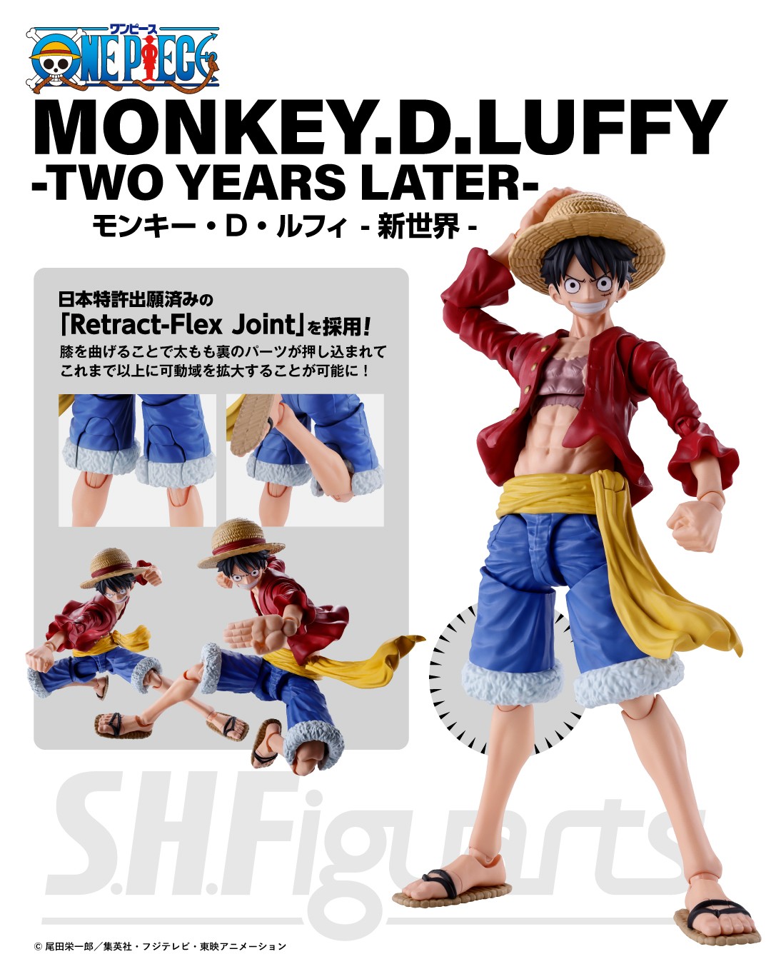 S.H.Figuarts モンキー・D・ルフィ -新世界- | 商品一覧 | 魂ウェブ