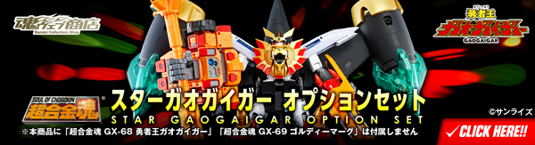 SOUL OF CHOGOKIN Star Gaogaigar Option Set