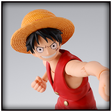 luffy photo
