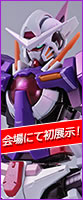 METAL BUILD Gundam Exia Transom Ver.