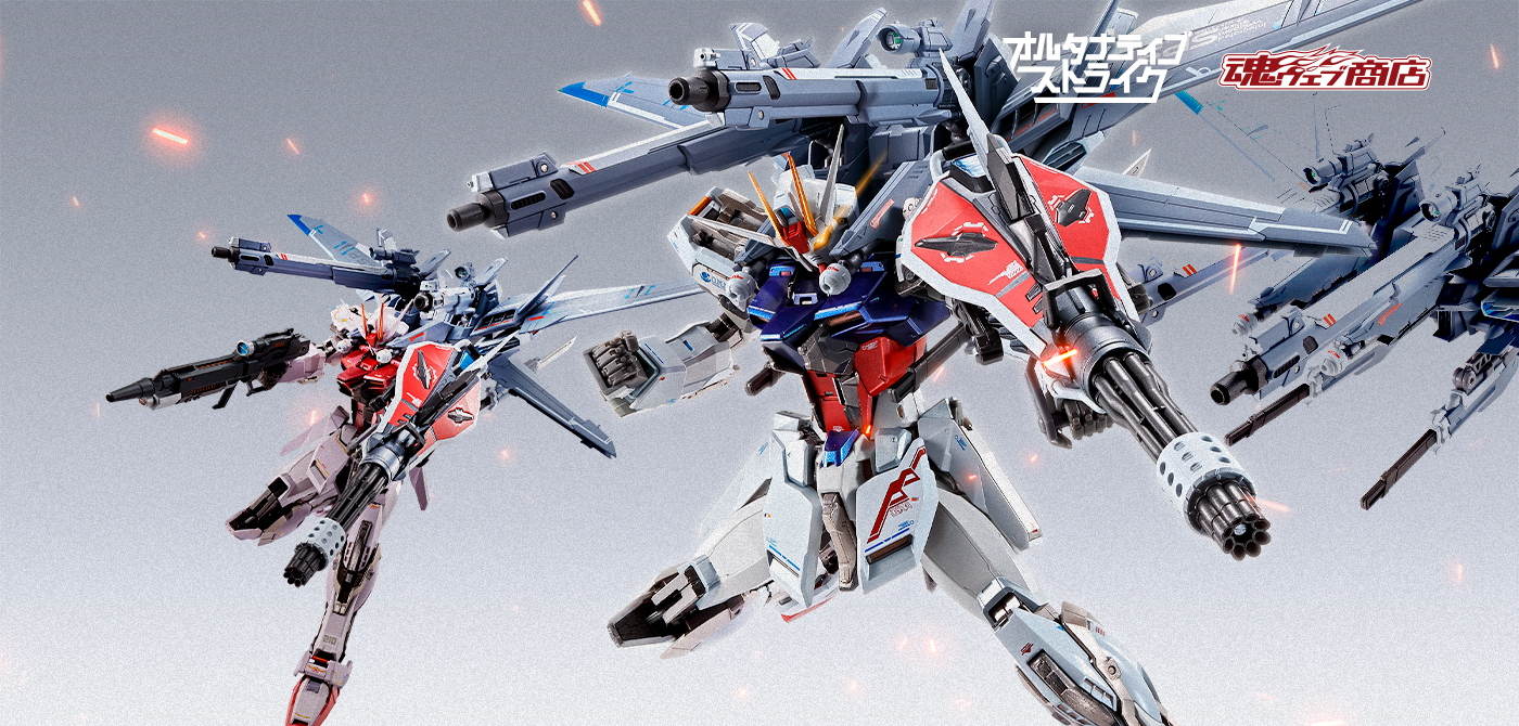 METAL BUILD フライト・ユニットオプション SEED ASTRAY