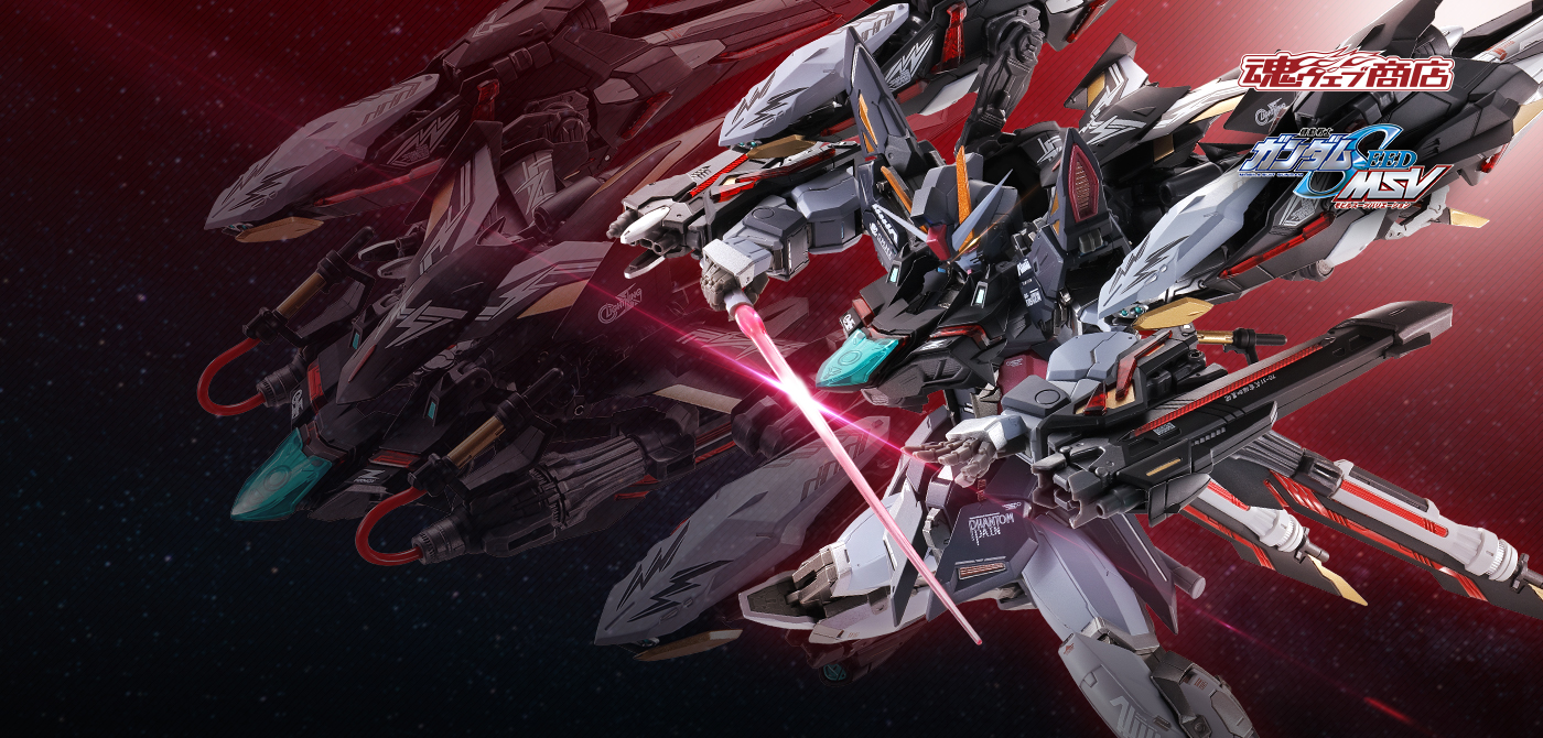 機動戦士ガンダムSEED MSVフィギュア METAL BUILD(メタルビルド) ライトニングストライカー（オルタナティブストライク Ver.）