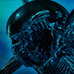 Tamashii movie 'S.H.MonsterArts Alien Warrior' stop-motion PV ¡distribución!