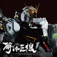 Special Site "METAL STRUCTURE KAITAI-SHOU-KI RX-93 ν GUNDAM" Catalog Request Form Released! (Ended)