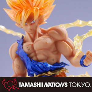 Special site TNT limited item" FiguartsZERO SUPER SAIYAN GOKU (Tokyo Limited)" opening review!
