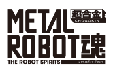 THE ROBOT SPIRITS