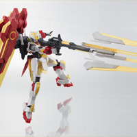 ROBOT SPIRITS <SIDE MS> Extreme Gundam Option Set