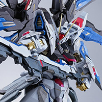 METAL BUILD ストライクフリーダムガンダム