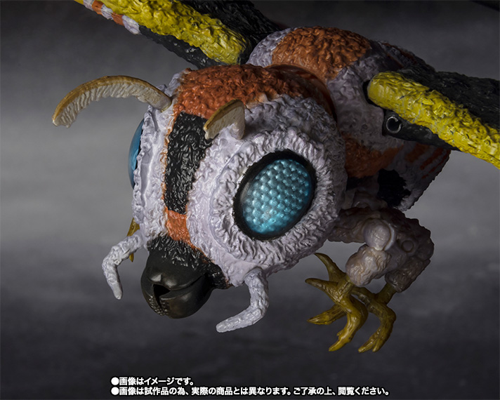S.H.MonsterArts モスラ（成虫）＆モスラ（幼虫） Special Color Ver 