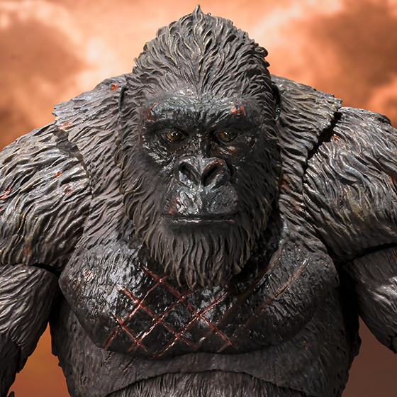 S.H.MonsterArts KONG FROM GODZILLA VS. KONG (2021) -Exclusive Edition-