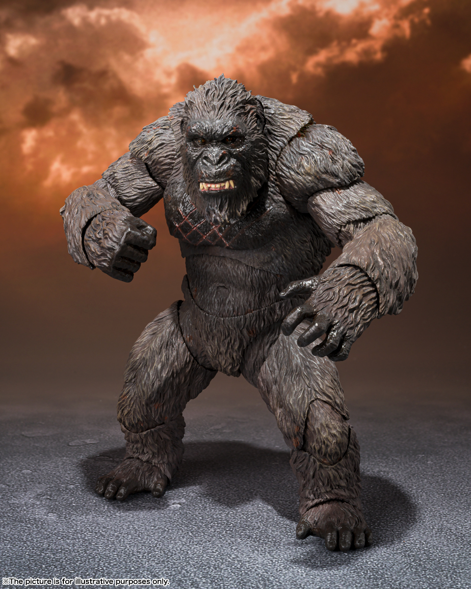 S.H.MonsterArts "Godzilla vs Kong (2021)" KONG FROM GODZILLA VS. KONG (2021) -Exclusive Edition-