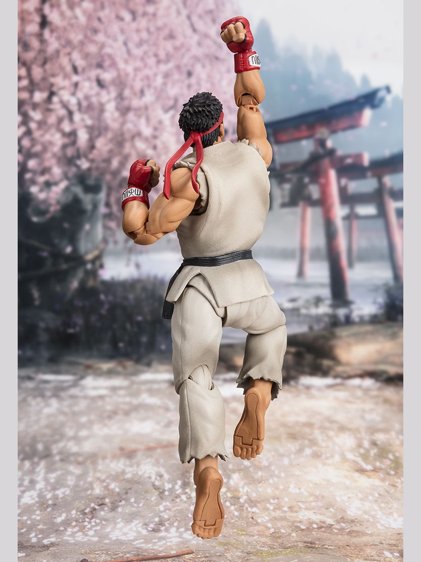 Street Fighter Series Figura S.H.Figuarts LYU-Outfit 2-