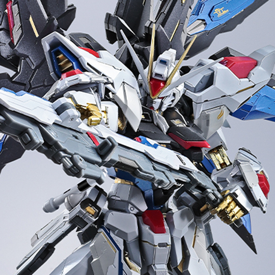 METAL BUILD強襲FREEDOM GUNDAM <復活版>