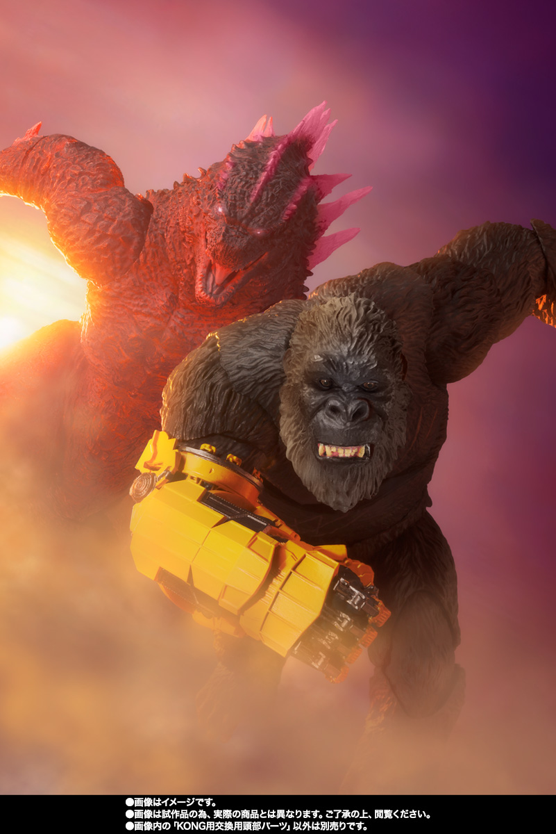 June 30 (Sun.) Order deadline &quot;S.H.MonsterArts GODZILLA (2024) EVOLVED Ver. FROM GODZILLA × KONG: THE NEW EMPIRE&quot; &amp; Series Introduction!