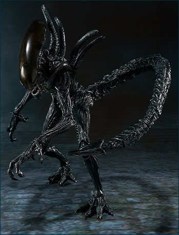 S.H.MonsterArts AVP エイリアンVSプレデター／Alien VS. Predator