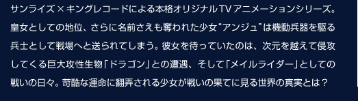 サンライズ×キングレコードによる本格オリジナルTVアニメーションシリーズ。