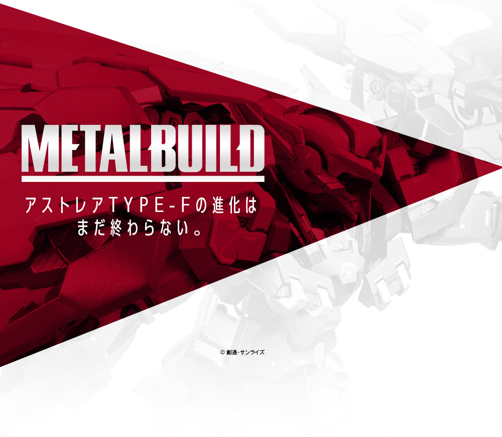 METAL BUILD
ガンダムアストレア TYPE-F (GN HEAVY WEAPON SET)