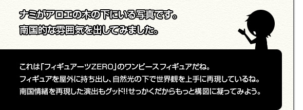 [撮影者]ナミがアロエの木の下にいる写真です。南国的な雰囲気を出してみました。[シイタマくん]これは「フィギュアーツZERO」のワンピースフィギュアだね。フィギュアを屋外に持ち出し。自然光の下で世界観を上手に再現しているね。南国情緒を再現した演出もグッド!!せっかくだからもっと構図に凝ってみよう。