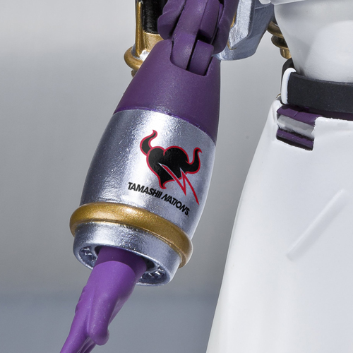 S.H.Figuarts スカイハイ