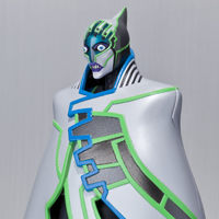 S.H.Figuarts&nbsp;ルナティック