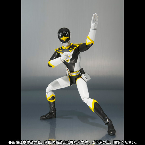 S.H.Figuarts ブラックコンドル