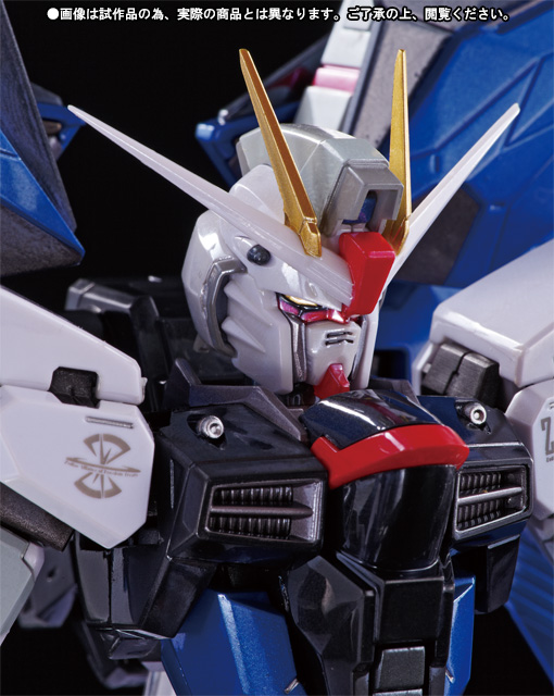 METAL BUILD フリーダムガンダム プリズムコートVer.