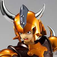 アーマープラス&nbsp;金剛のシュウ