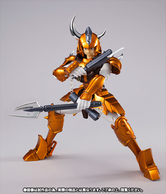 アーマープラス 金剛のシュウ