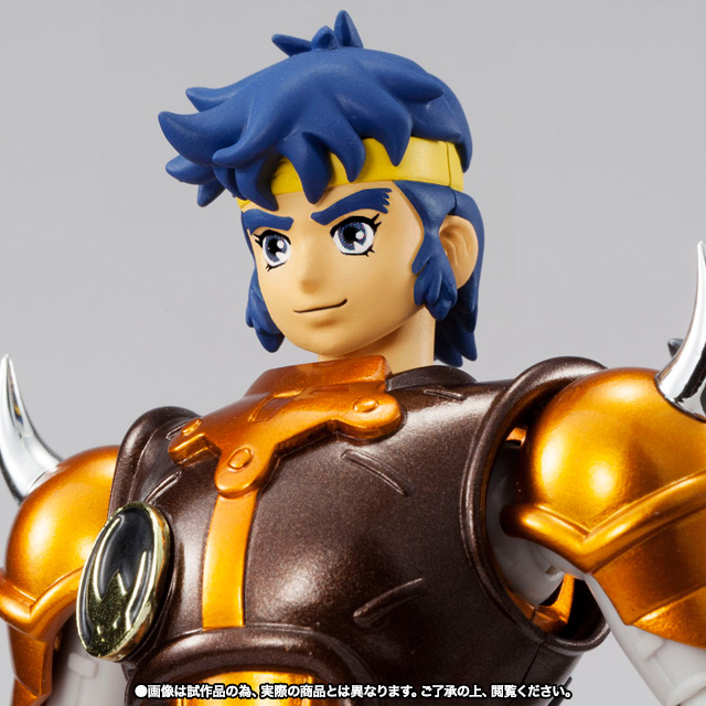 アーマープラス 金剛のシュウ