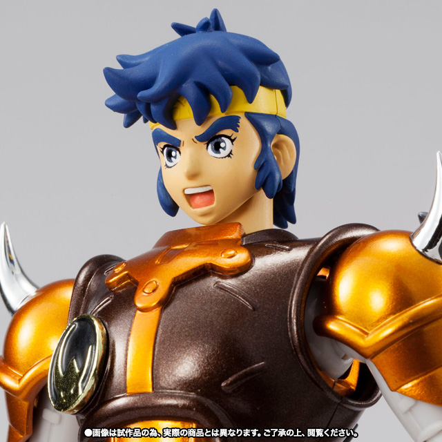 アーマープラス 金剛のシュウ