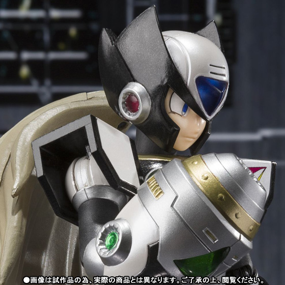 D-Arts&nbsp;ブラックゼロ