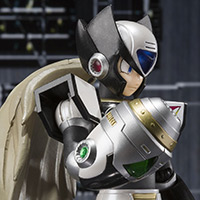 D-Arts&nbsp;ブラックゼロ