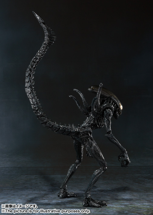 S.H.MonsterArts エイリアン ウォーリア