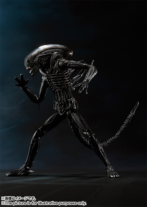 S.H.MonsterArts&nbsp;エイリアン ビッグチャップ