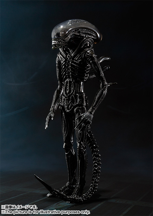 S.H.MonsterArts&nbsp;エイリアン ビッグチャップ