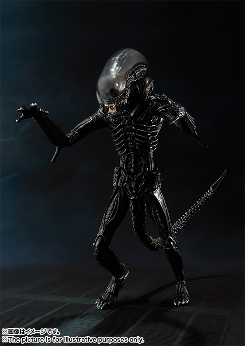S.H.MonsterArts&nbsp;エイリアン ビッグチャップ