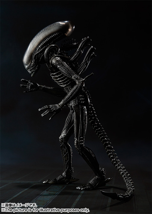 S.H.MonsterArts&nbsp;エイリアン ビッグチャップ