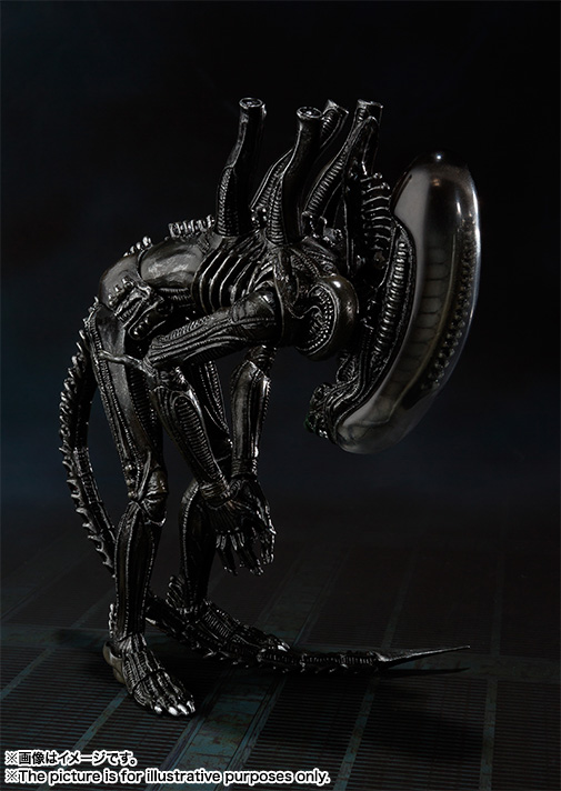 S.H.MonsterArts&nbsp;エイリアン ビッグチャップ