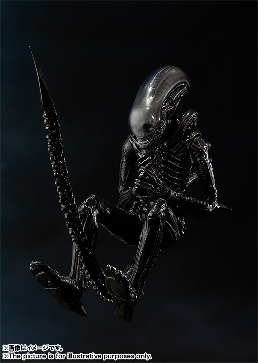 S.H.MonsterArts&nbsp;エイリアン ビッグチャップ