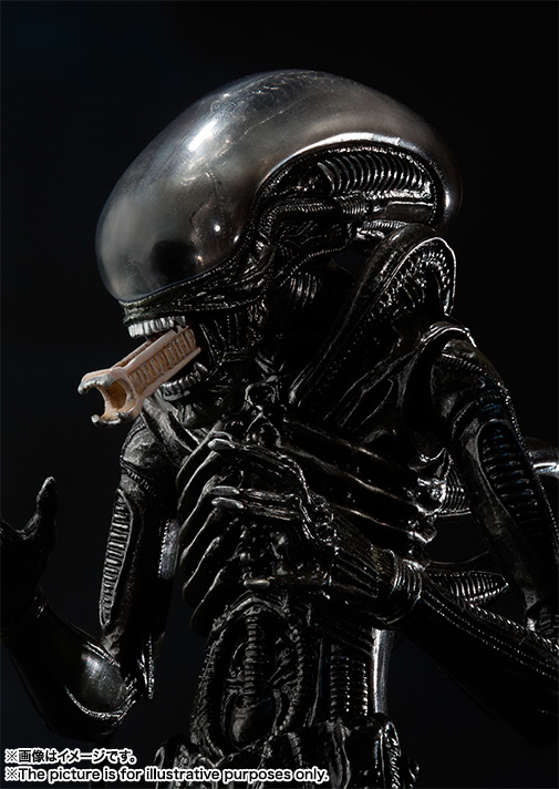 S.H.MonsterArts&nbsp;エイリアン ビッグチャップ
