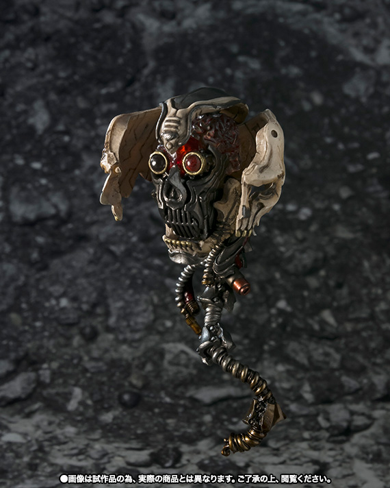 S.I.C. 仮面ライダーシン