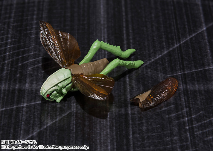 S.H.Figuarts 仮面ライダーZO