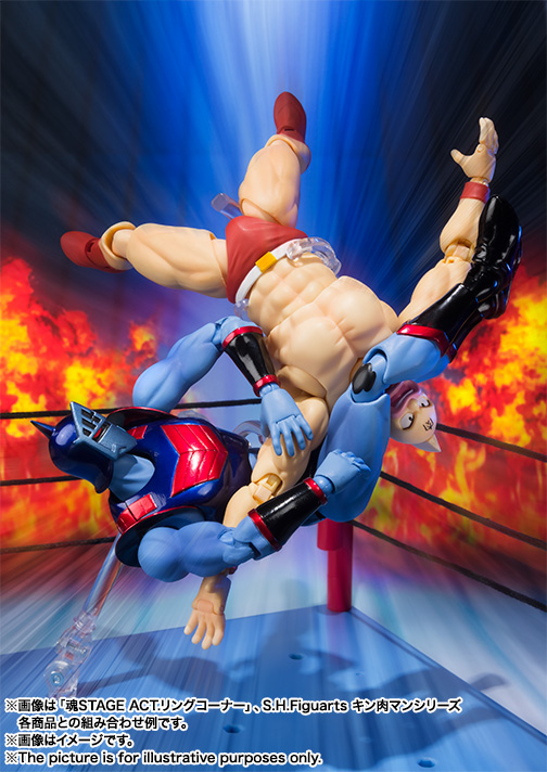 S.H.Figuarts ロビンマスク