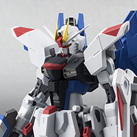 ROBOT魂&nbsp;＜SIDE MS＞ フリーダムガンダム