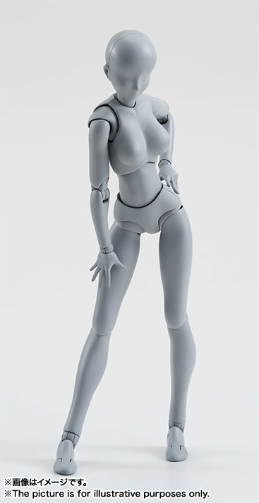 S.H.Figuarts ボディちゃん DX SET (Gray Color Ver.)