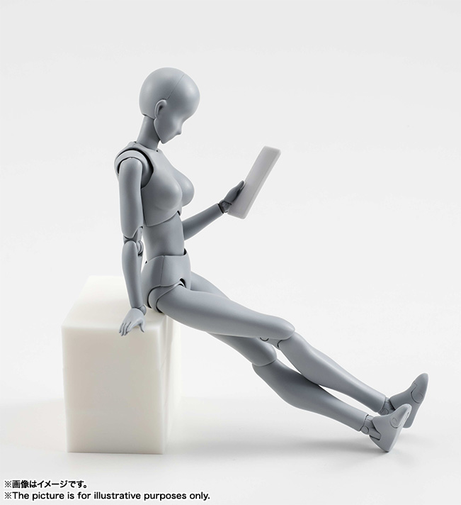 S.H.Figuarts ボディちゃん DX SET (Gray Color Ver.)