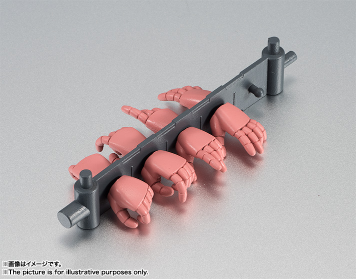 ROBOT魂 <SIDE MS> MS-06S シャア専用ザク ver. A.N.I.M.E.