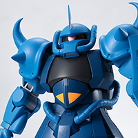 ROBOT魂&nbsp;＜SIDE MS＞ MS-07B グフ ver. A.N.I.M.E.